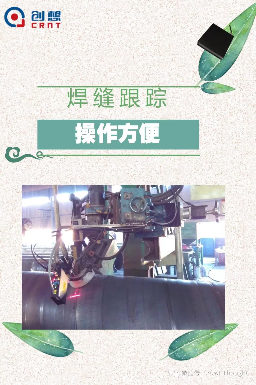 粽葉帶來的不僅僅是粽子，還有...