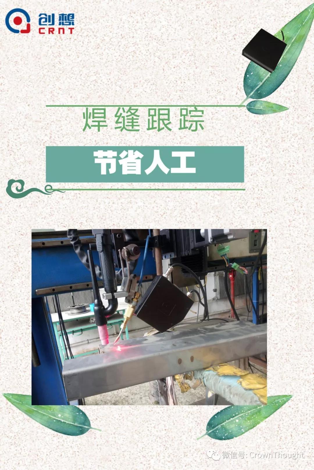 粽葉帶來的不僅僅是粽子，還有...